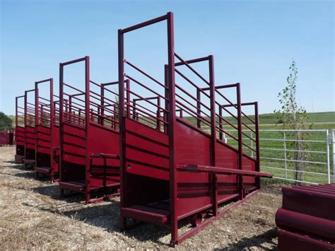 cattle loading chute dimensions|Stationary & Portable Cattle Loading Chute